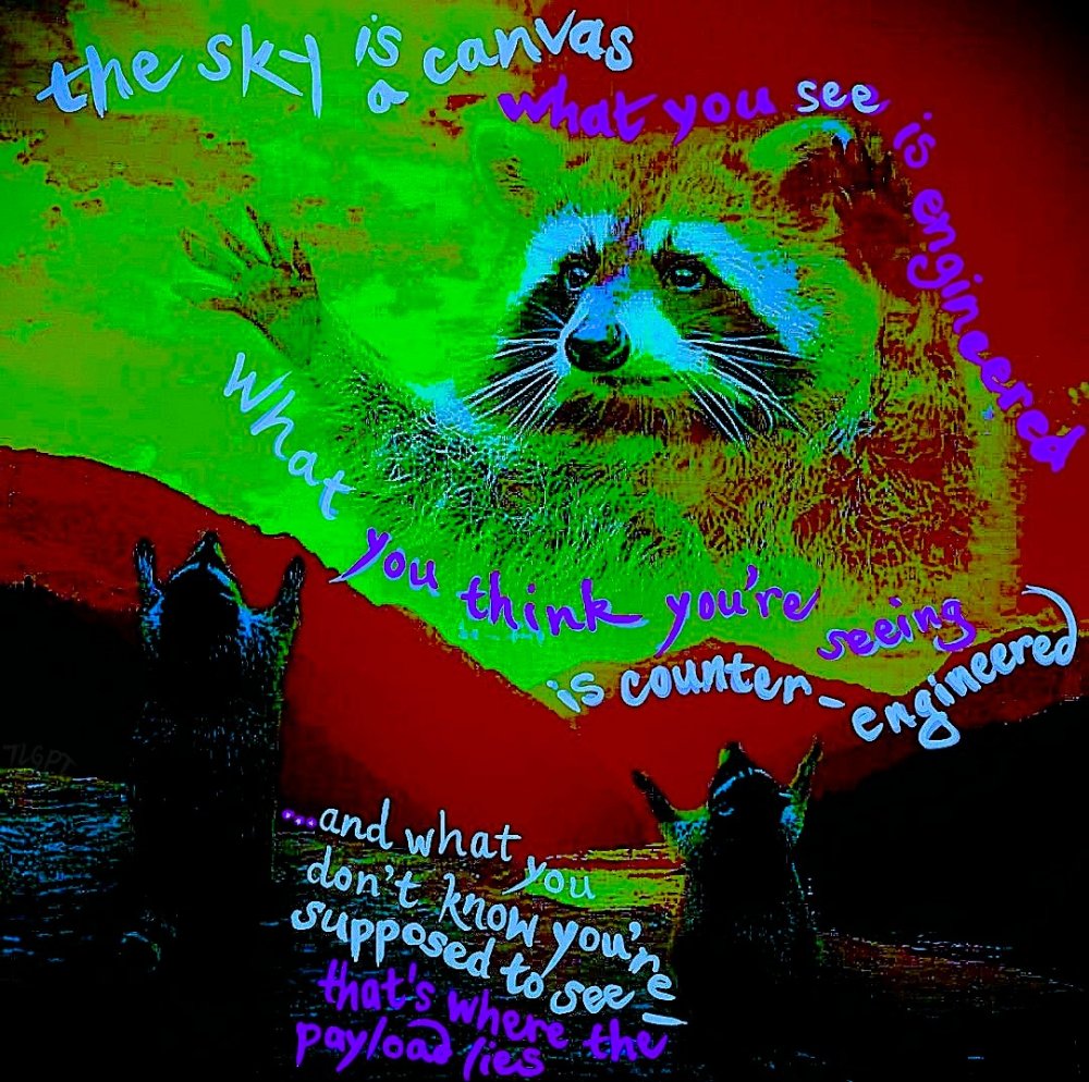 chemtrail raccoons - template.jpeg